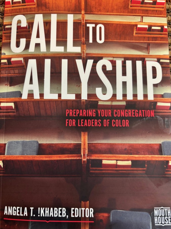 Call to Allyship
